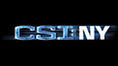 csi new york